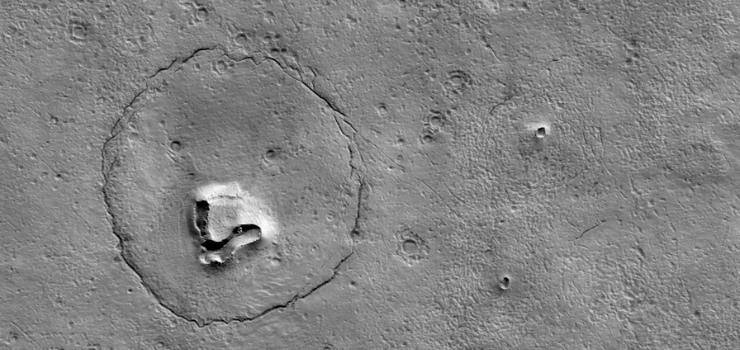 bear-on-mars