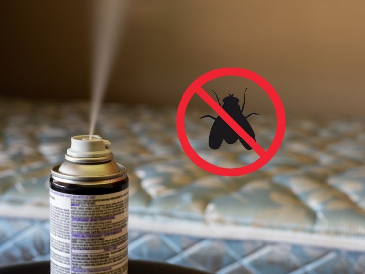 insetticida contro le mosche